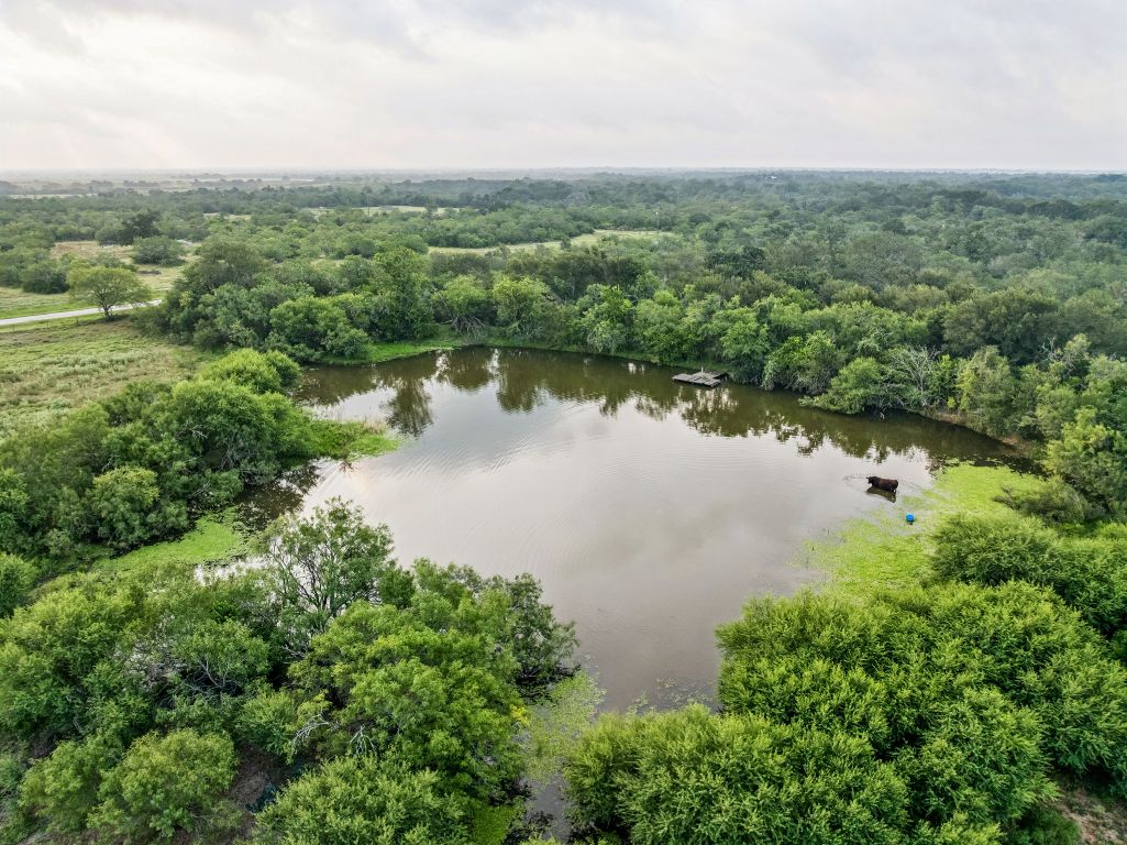 an aerial view of green landscape with trees houses and lake view