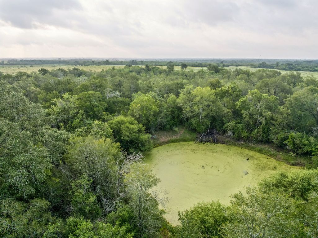 9611 Wilke Road Kingsbury, TX 78638 - Photo 17 of 23 an aerial view of residential houses with outdoor space and trees