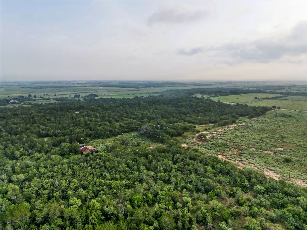 9611 Wilke Road Kingsbury, TX 78638 - Photo 18 of 23 an aerial view of residential houses with outdoor space and trees