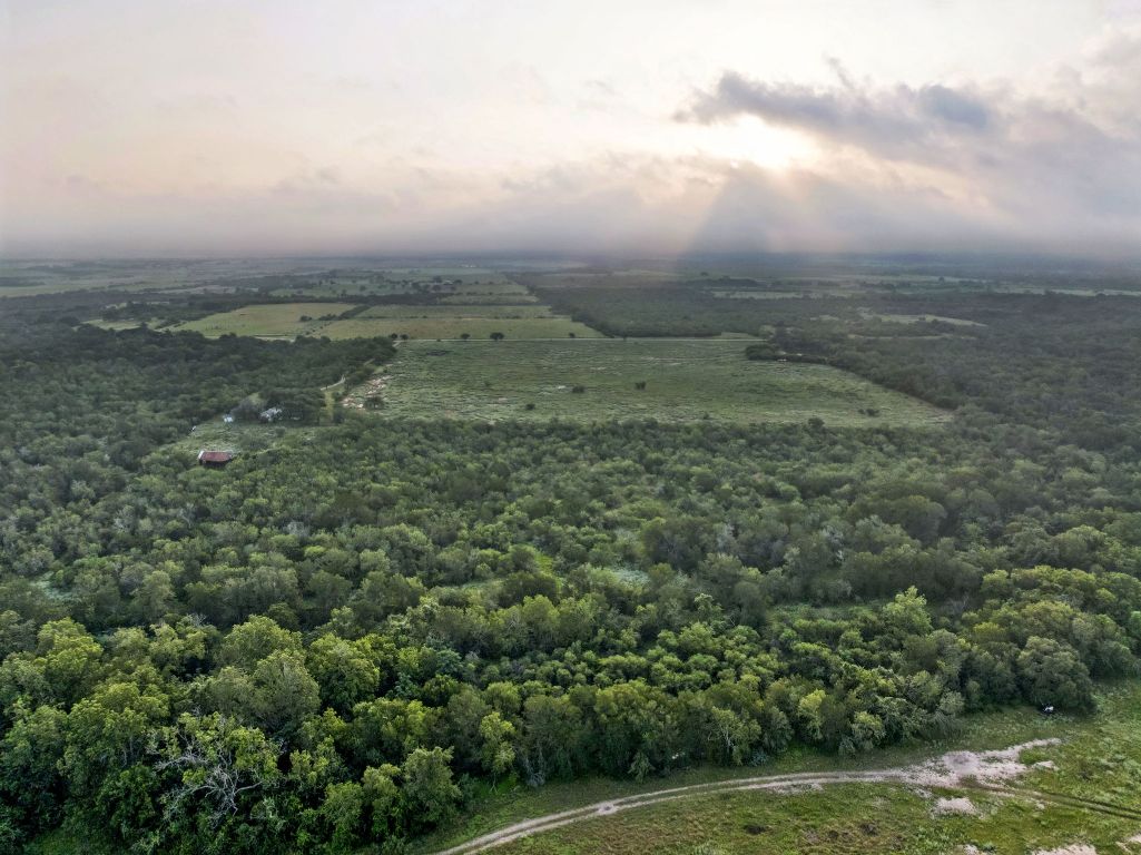 9611 Wilke Road Kingsbury, TX 78638 - Photo 4 of 23 view of a field with an trees