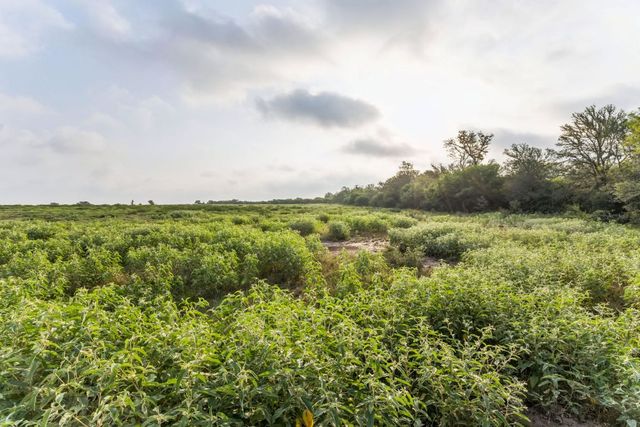 a view of a green field with lots of bushes