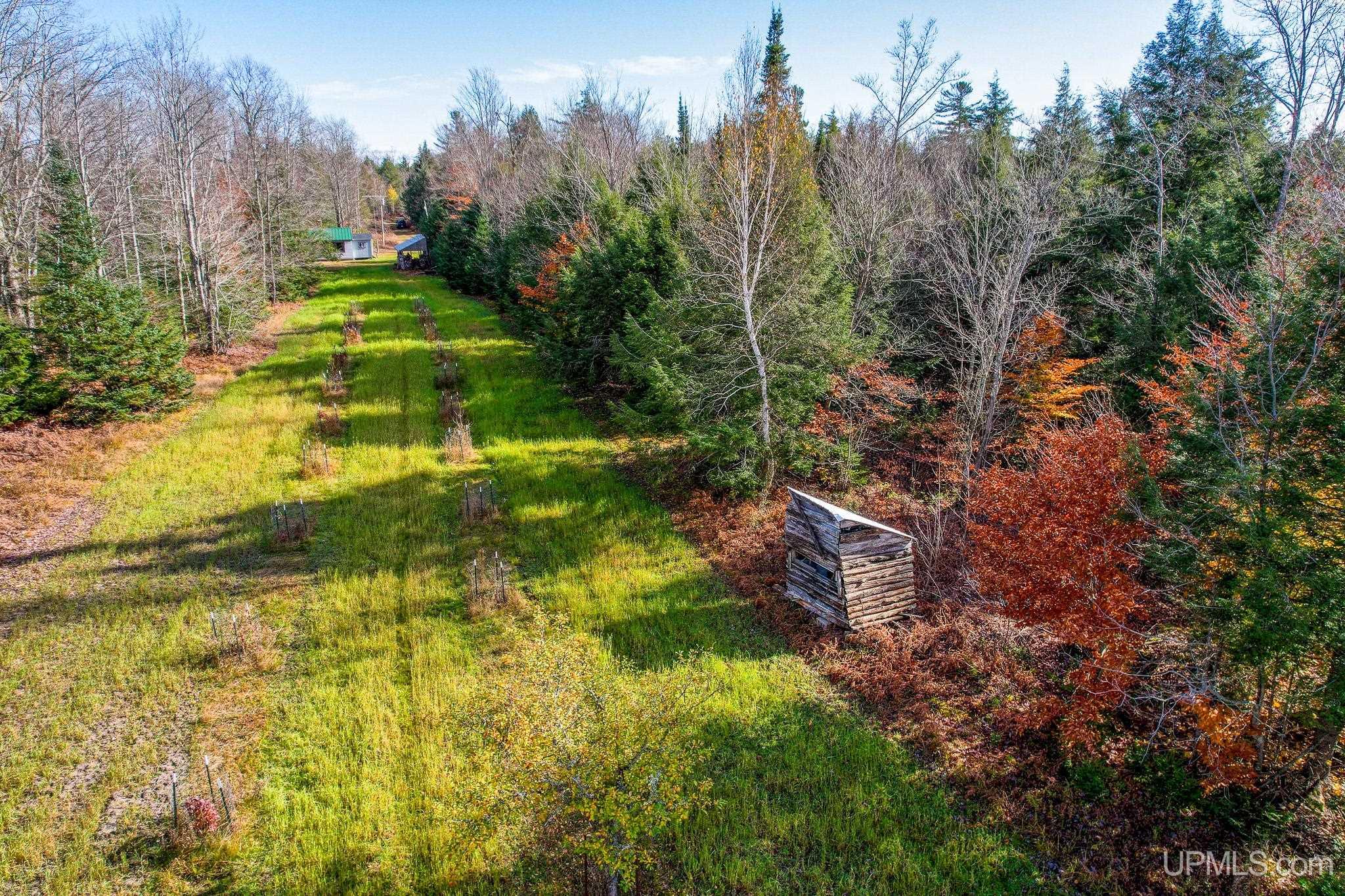 240-acres Long Lake Road Wetmore, MI 49895 - Photo 27 of 39