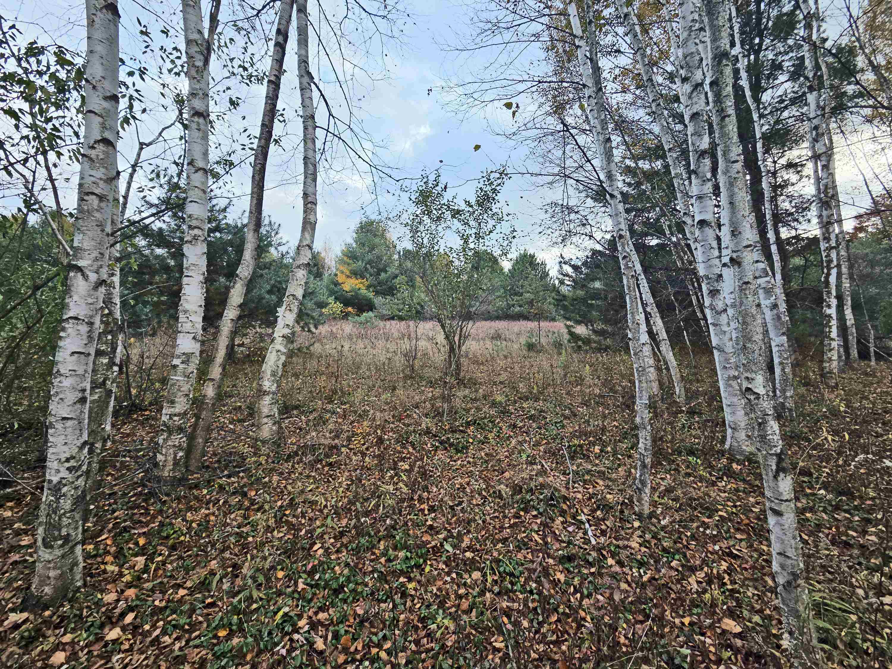 0 Monument Road Tawas City, MI 48763 - Photo 6 of 13