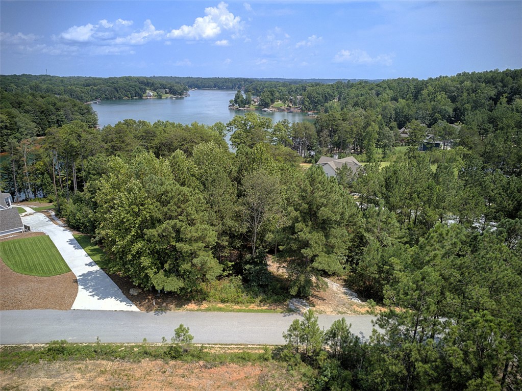 Lot 24 Reservoir Road West Union, SC 29696 - Photo 45 of 46 A tranquil lake view anchors this verdant, expansive property, offering serene living amidst mature trees.
