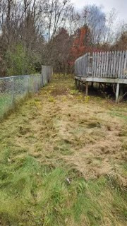 383 Stratton Hill Road West Chazy, NY 12992 - Photo 6 of 7 Gallery Image 6