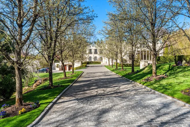 a park view with large trees