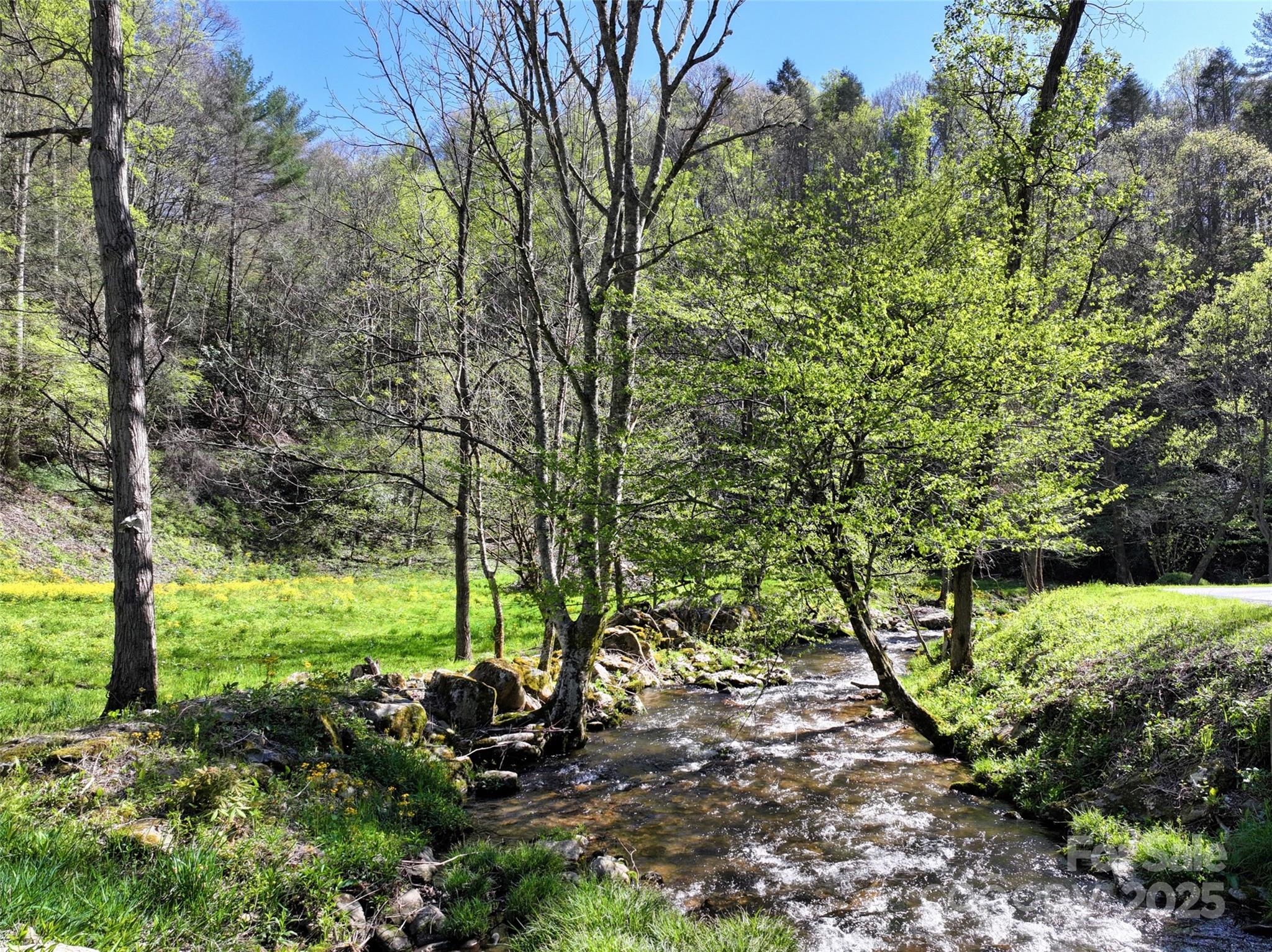 2201 Pigeon Roost Road Green Mountain, NC 28740 - Photo 24 of 36