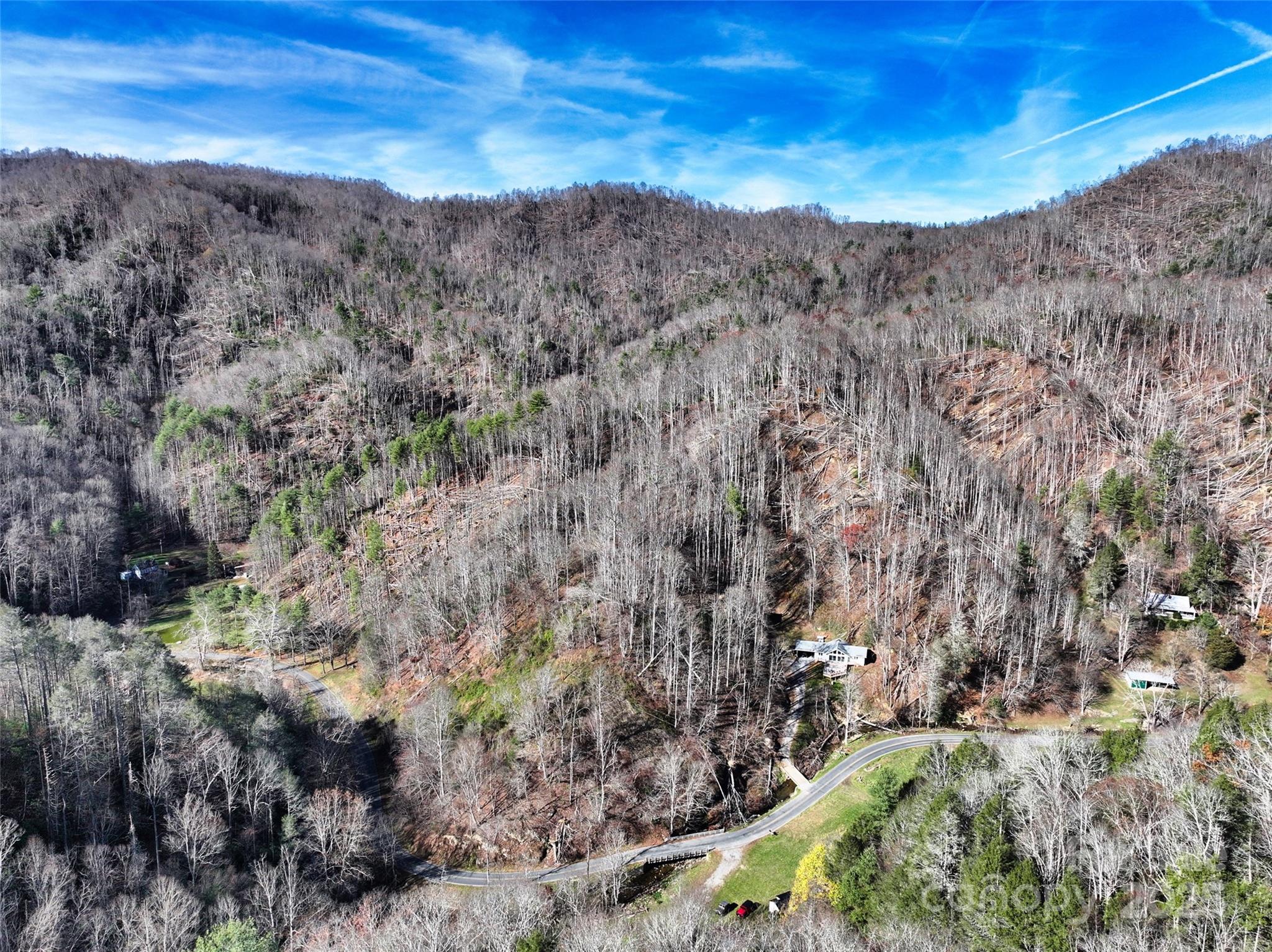 2201 Pigeon Roost Road Green Mountain, NC 28740 - Photo 25 of 36