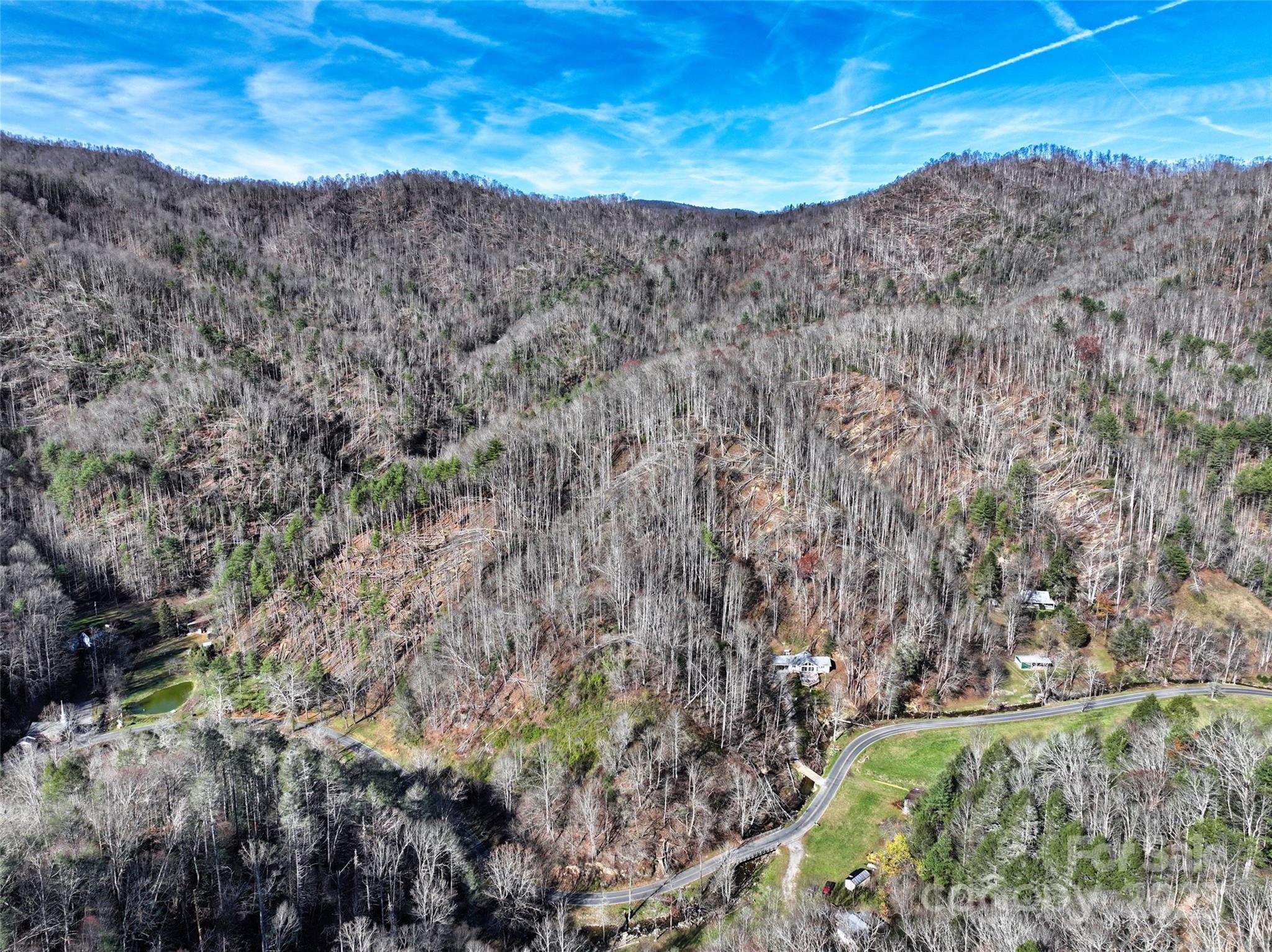 2201 Pigeon Roost Road Green Mountain, NC 28740 - Photo 26 of 36