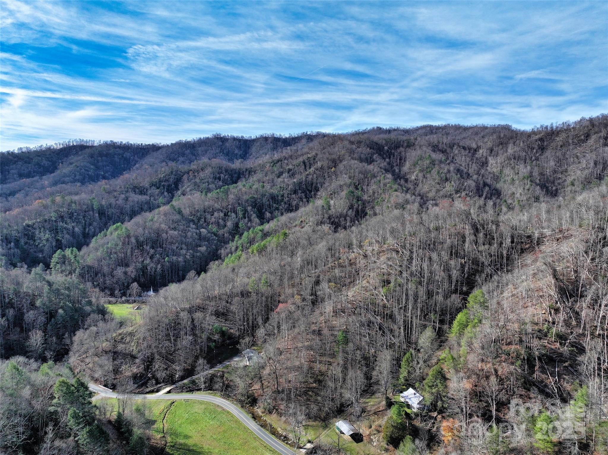 2201 Pigeon Roost Road Green Mountain, NC 28740 - Photo 29 of 36