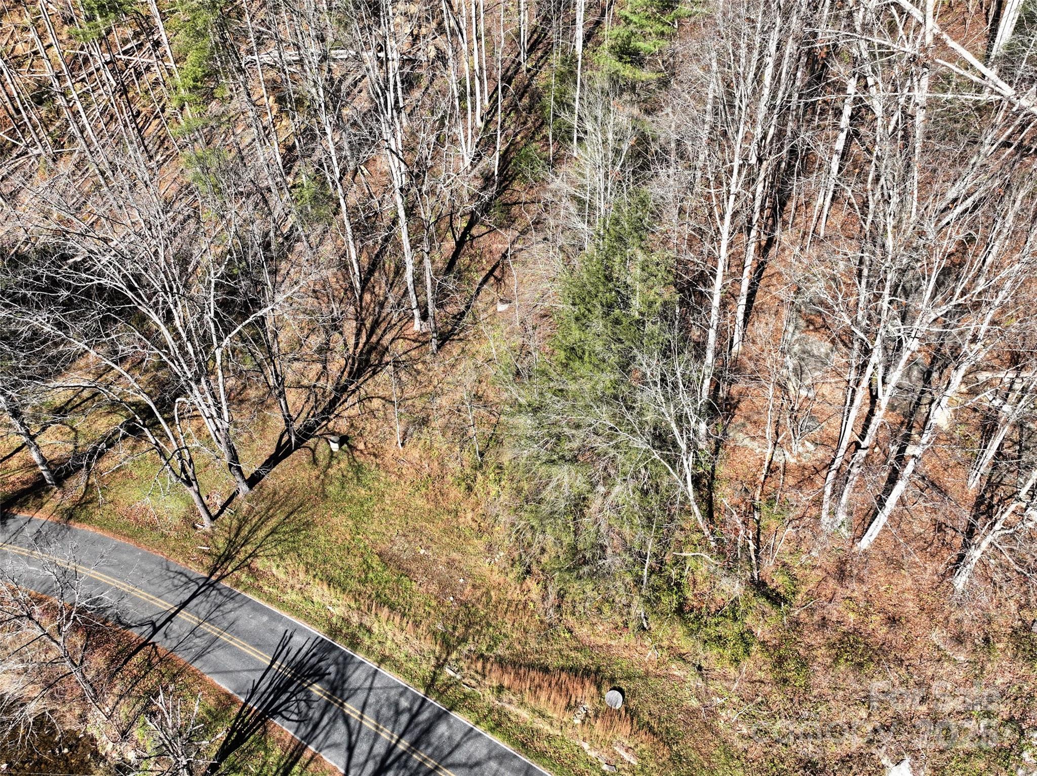 2201 Pigeon Roost Road Green Mountain, NC 28740 - Photo 31 of 36