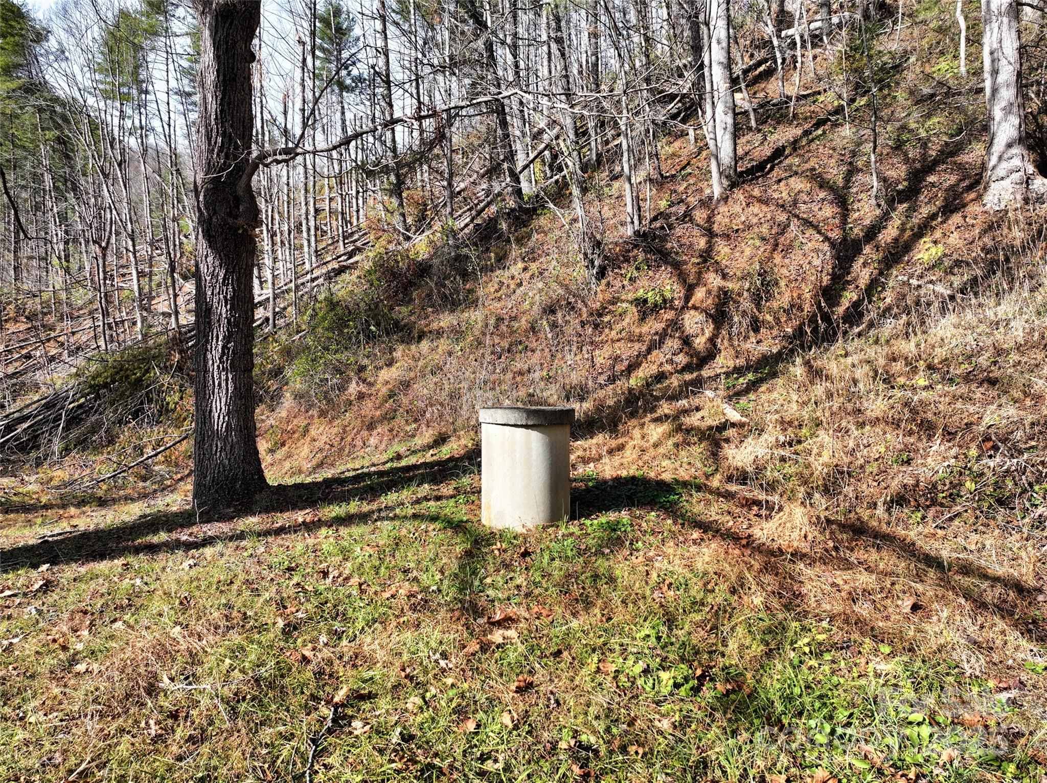 2201 Pigeon Roost Road Green Mountain, NC 28740 - Photo 32 of 36