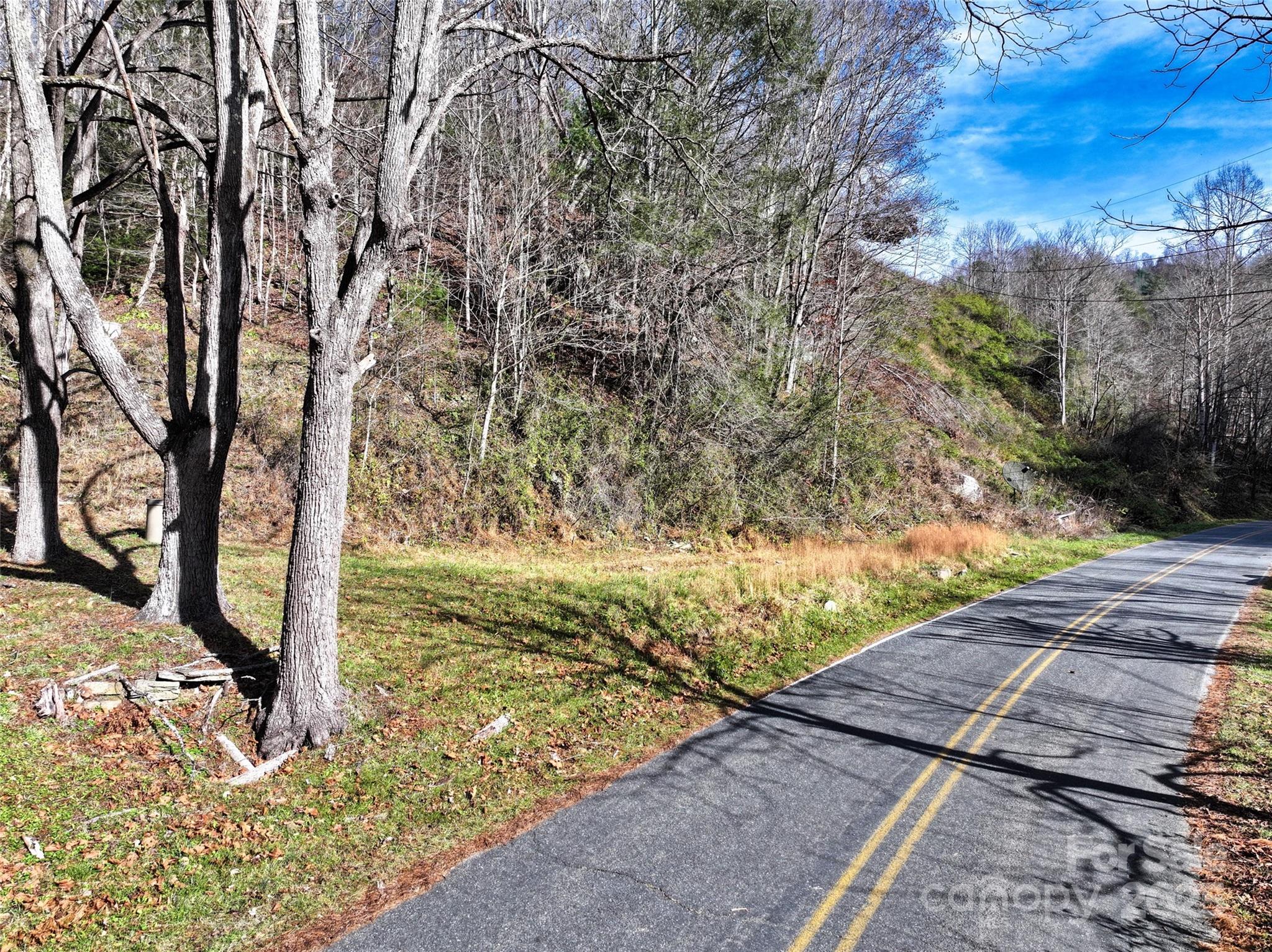 2201 Pigeon Roost Road Green Mountain, NC 28740 - Photo 33 of 36