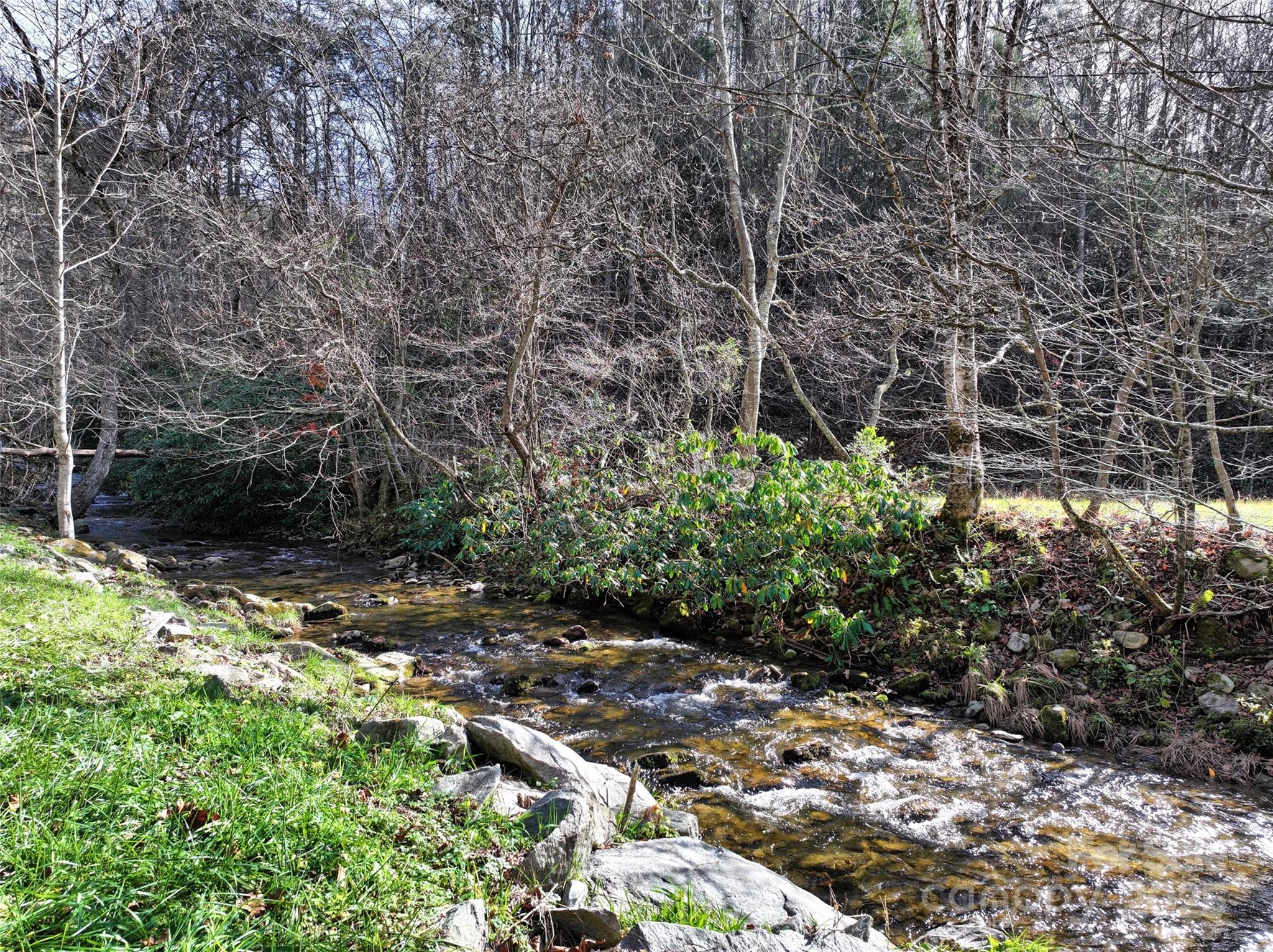 2201 Pigeon Roost Road Green Mountain, NC 28740 - Photo 4 of 36