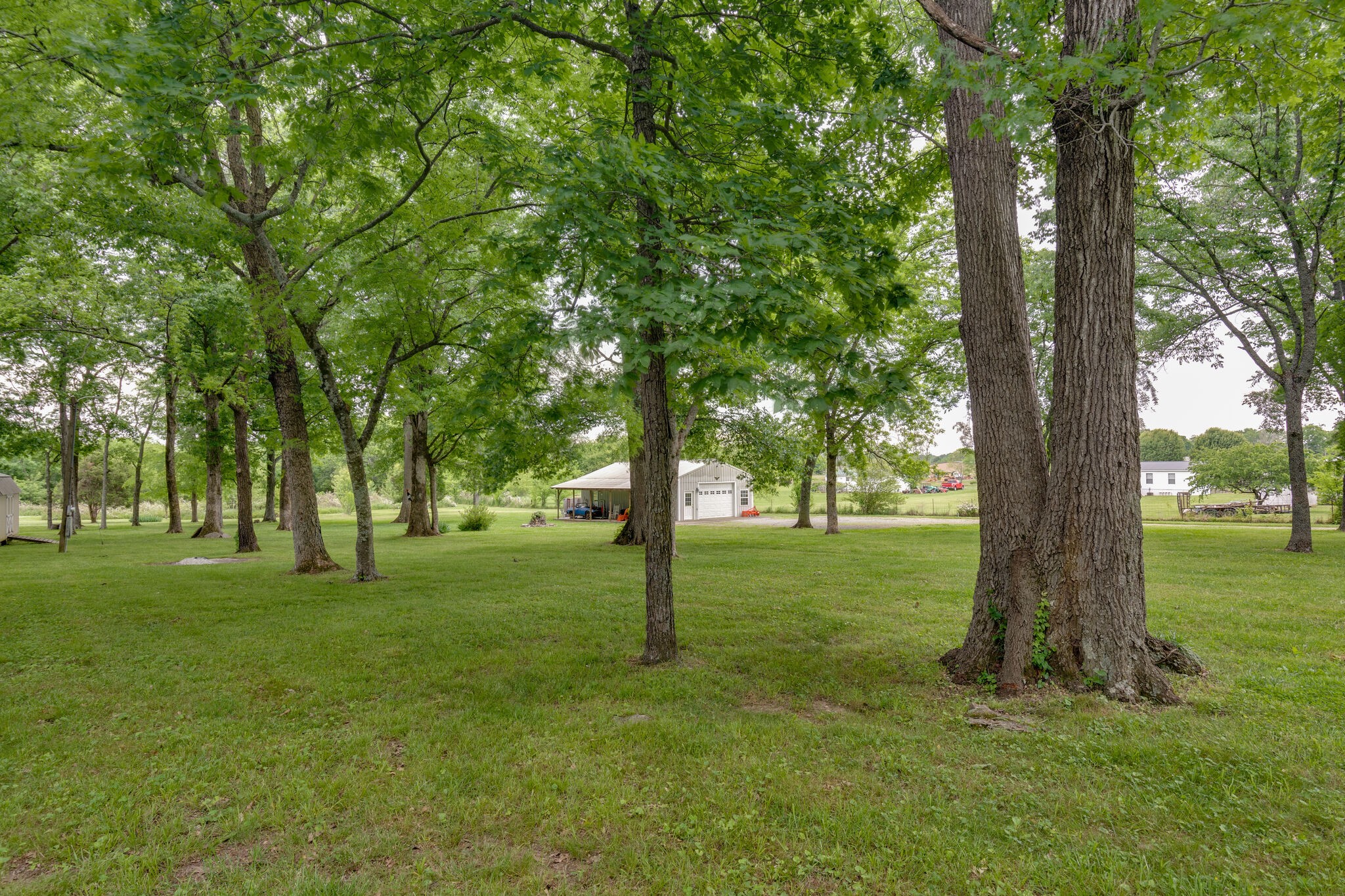 3057 Beasley Road Chapel Hill, TN 37034 - Photo 3 of 10 Gallery Image 3