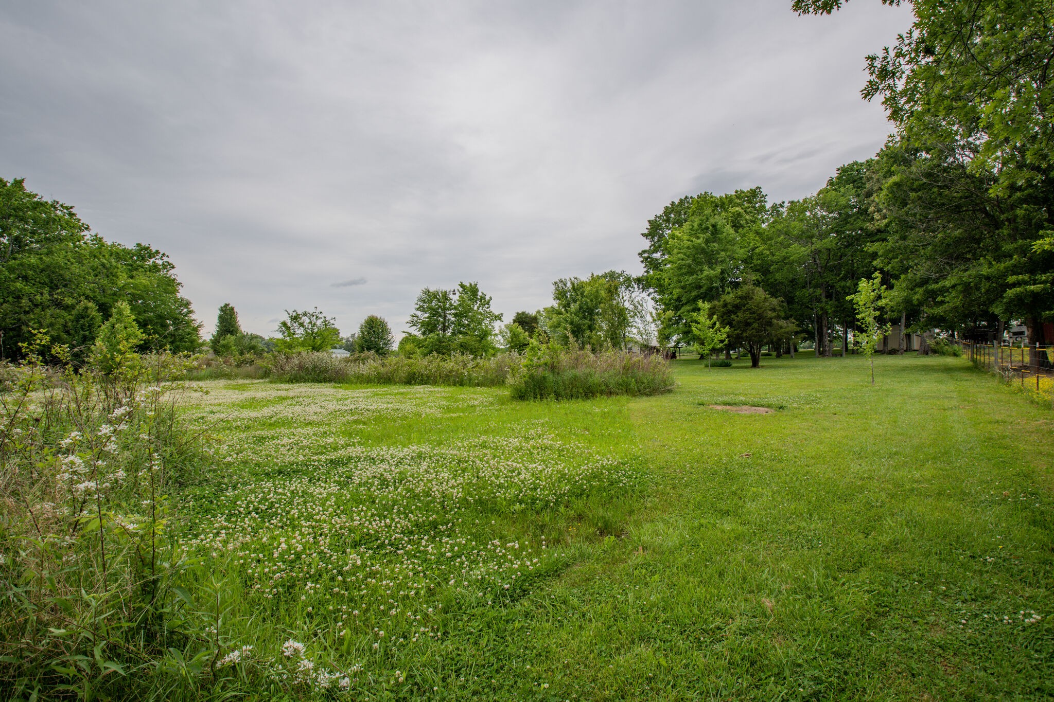 3057 Beasley Road Chapel Hill, TN 37034 - Photo 4 of 10 Gallery Image 4