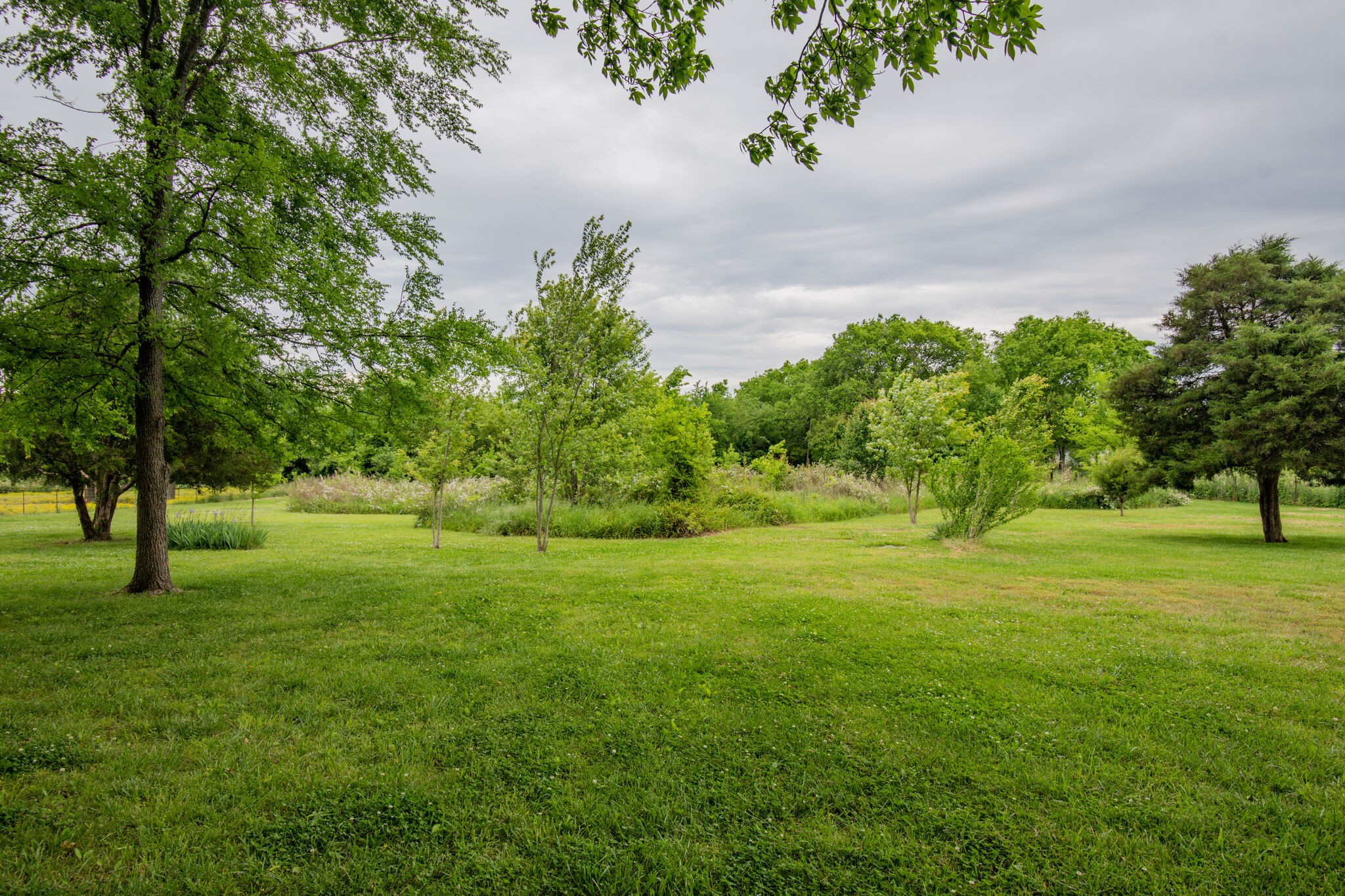 3057 Beasley Road Chapel Hill, TN 37034 - Photo 5 of 10 Gallery Image 5