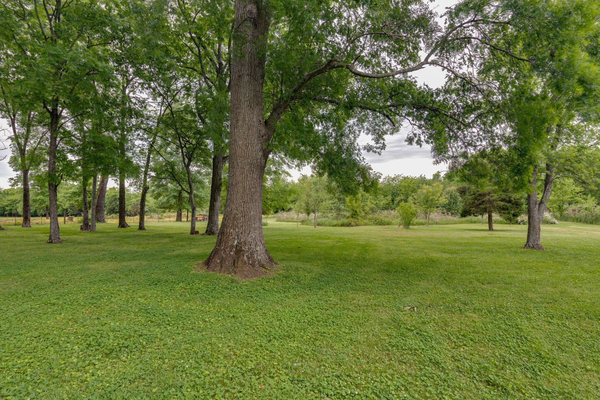 3057 Beasley Road Chapel Hill, TN 37034 - Photo 8 of 10 Gallery Image 8