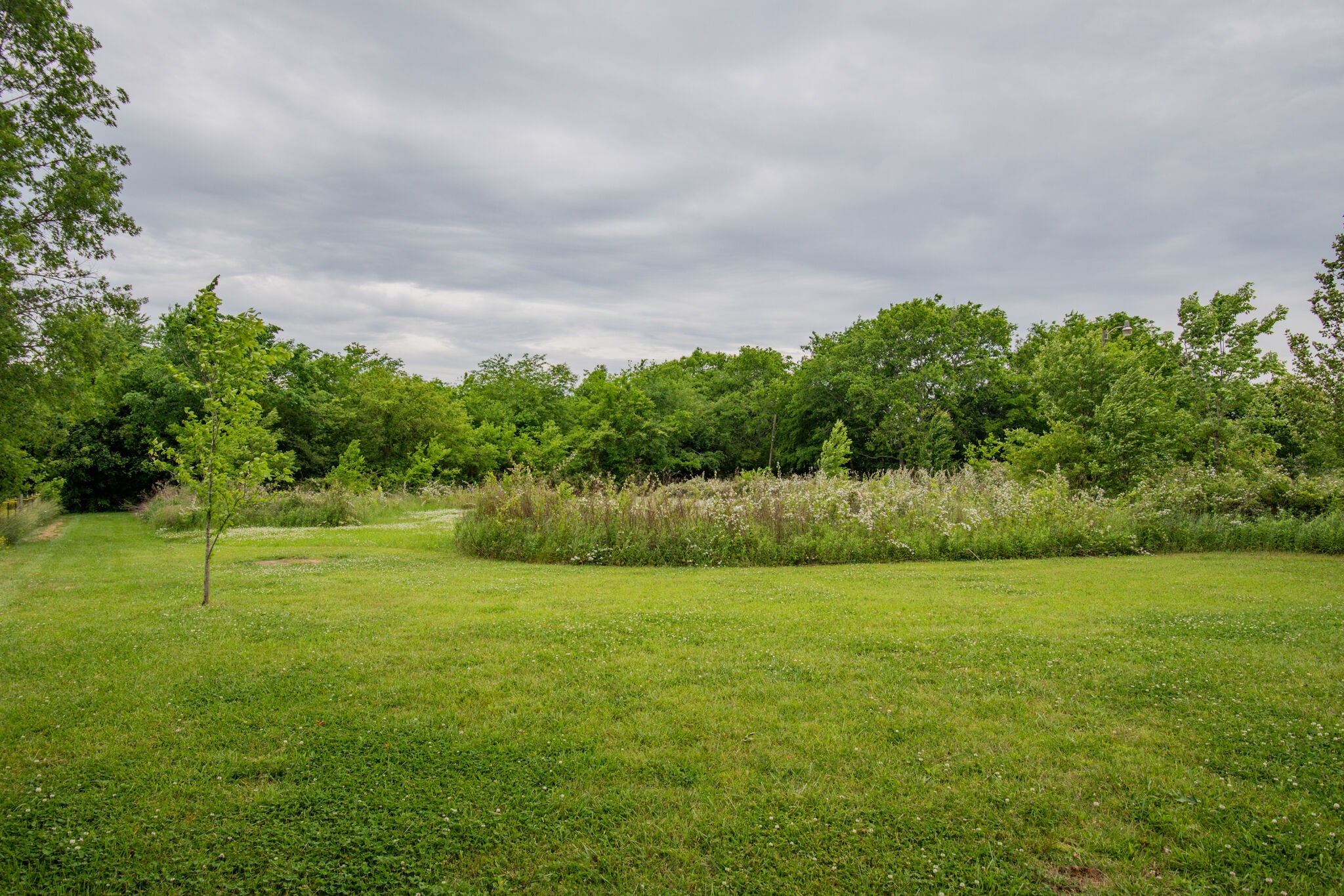 3057 Beasley Road Chapel Hill, TN 37034 - Photo 9 of 10 Gallery Image 9