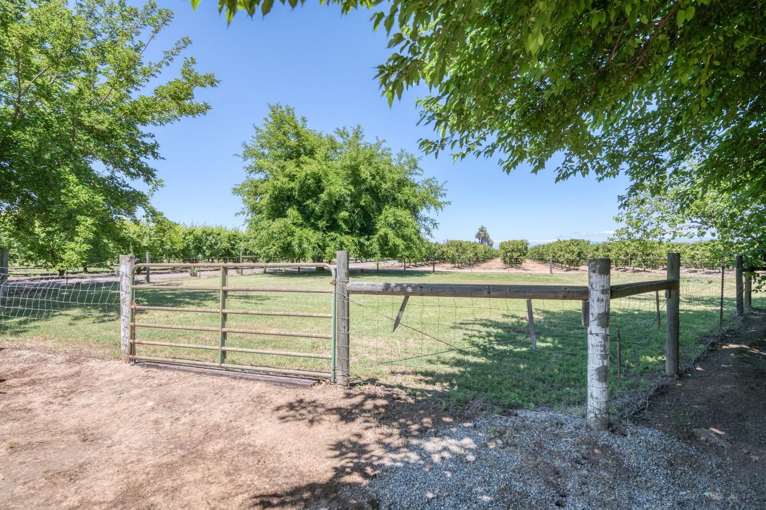 16962 East Trimmer Springs Road Sanger, CA 93657 - Photo 35 of 49 Gallery Image 35