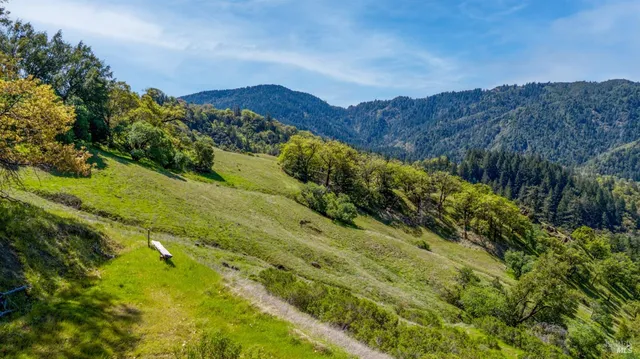 a view of a lush green forest with mountains in the background
