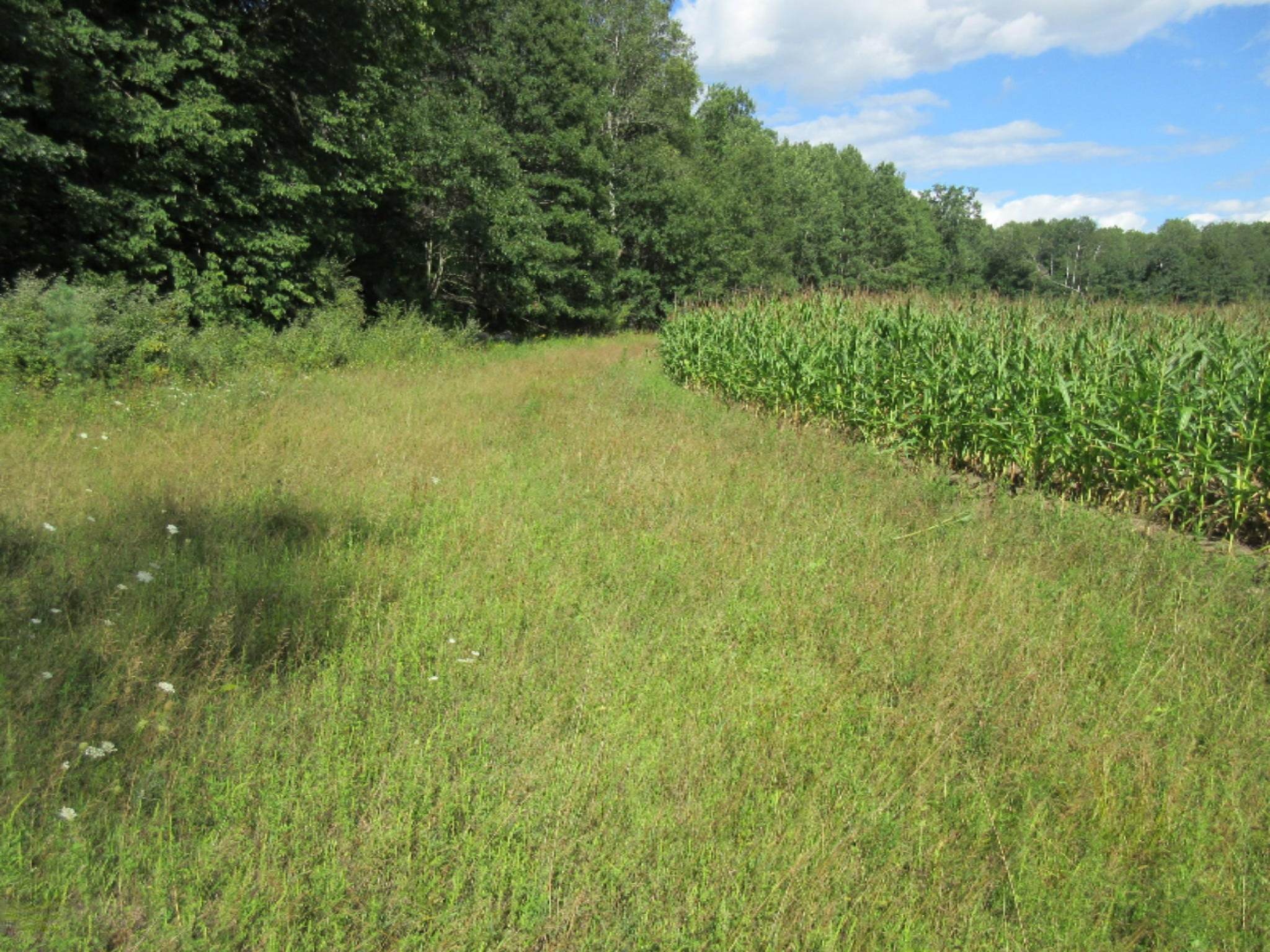 130 North Hale Road Twining, MI 48766 - Photo 54 of 73 IMG_7379