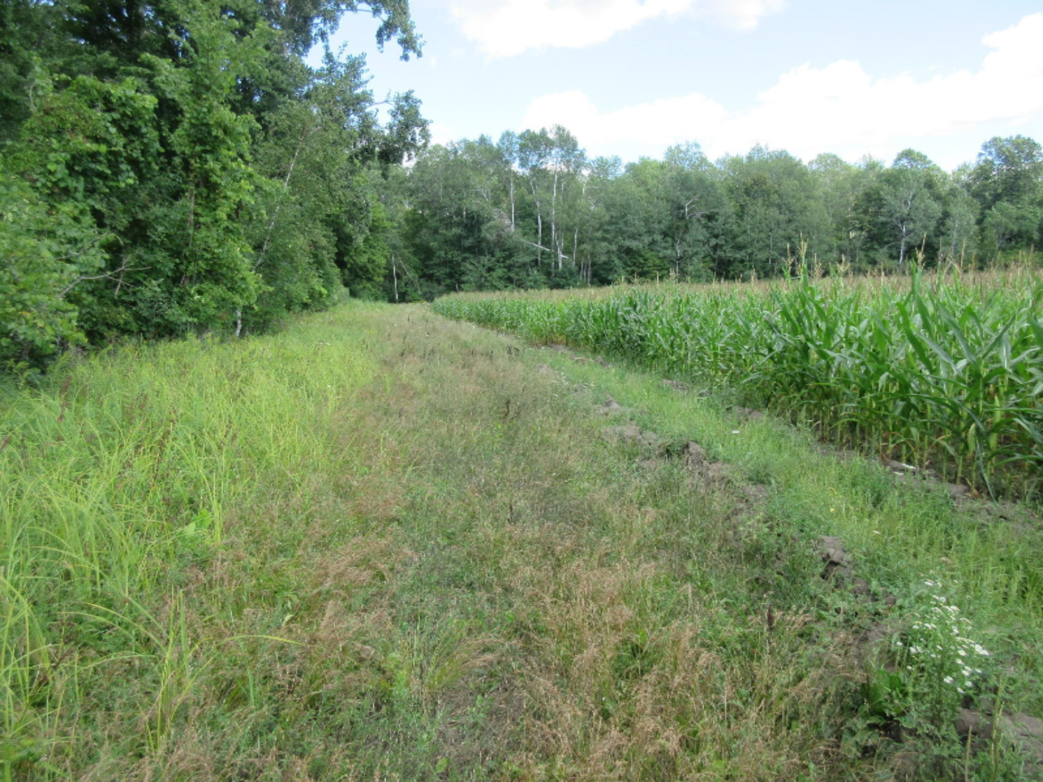 130 North Hale Road Twining, MI 48766 - Photo 60 of 73 IMG_7403
