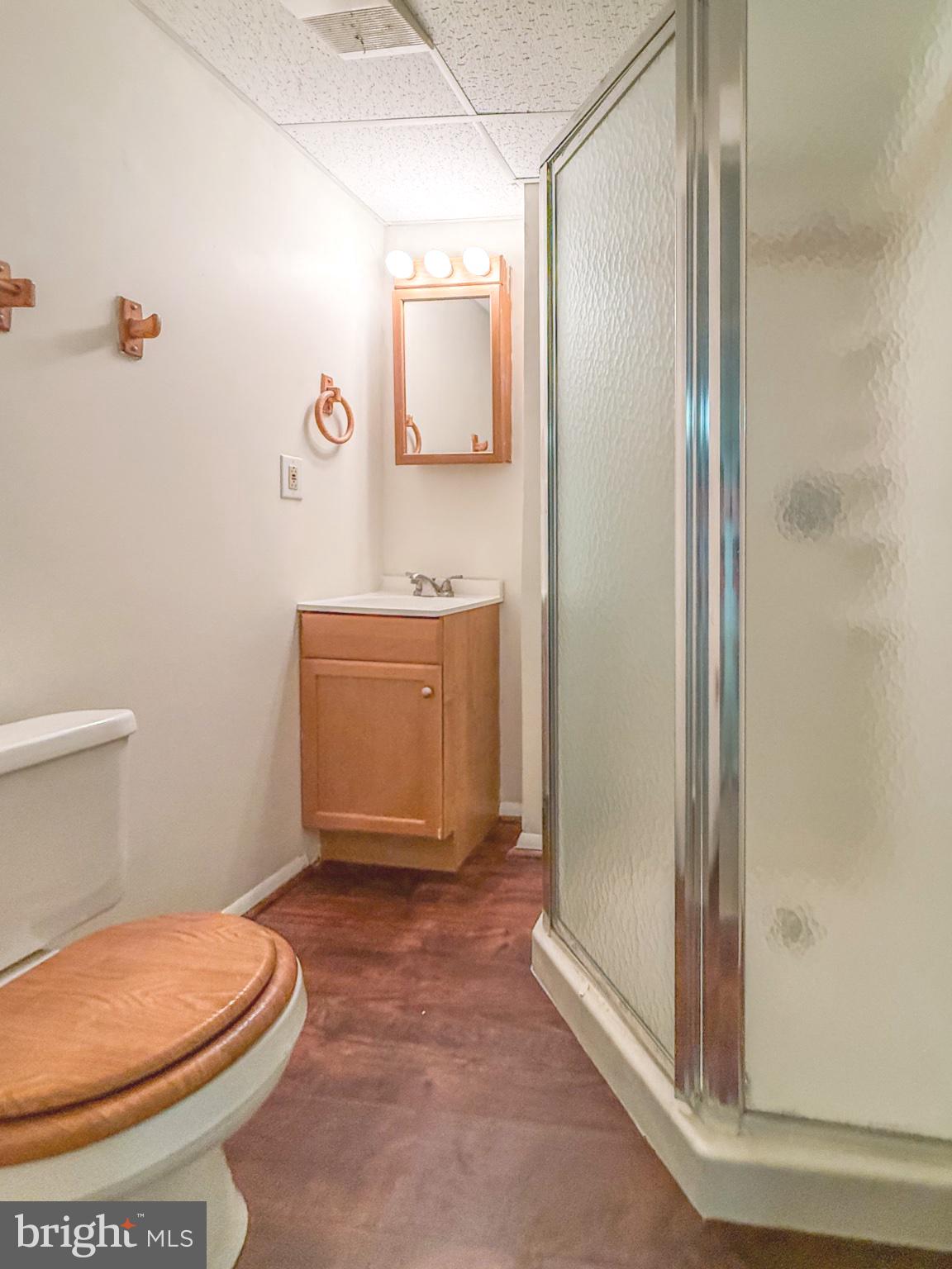 3910 Red Leaf Court Point of Rocks, MD 21777 - Photo 37 of 45 Cozy basement bathroom.