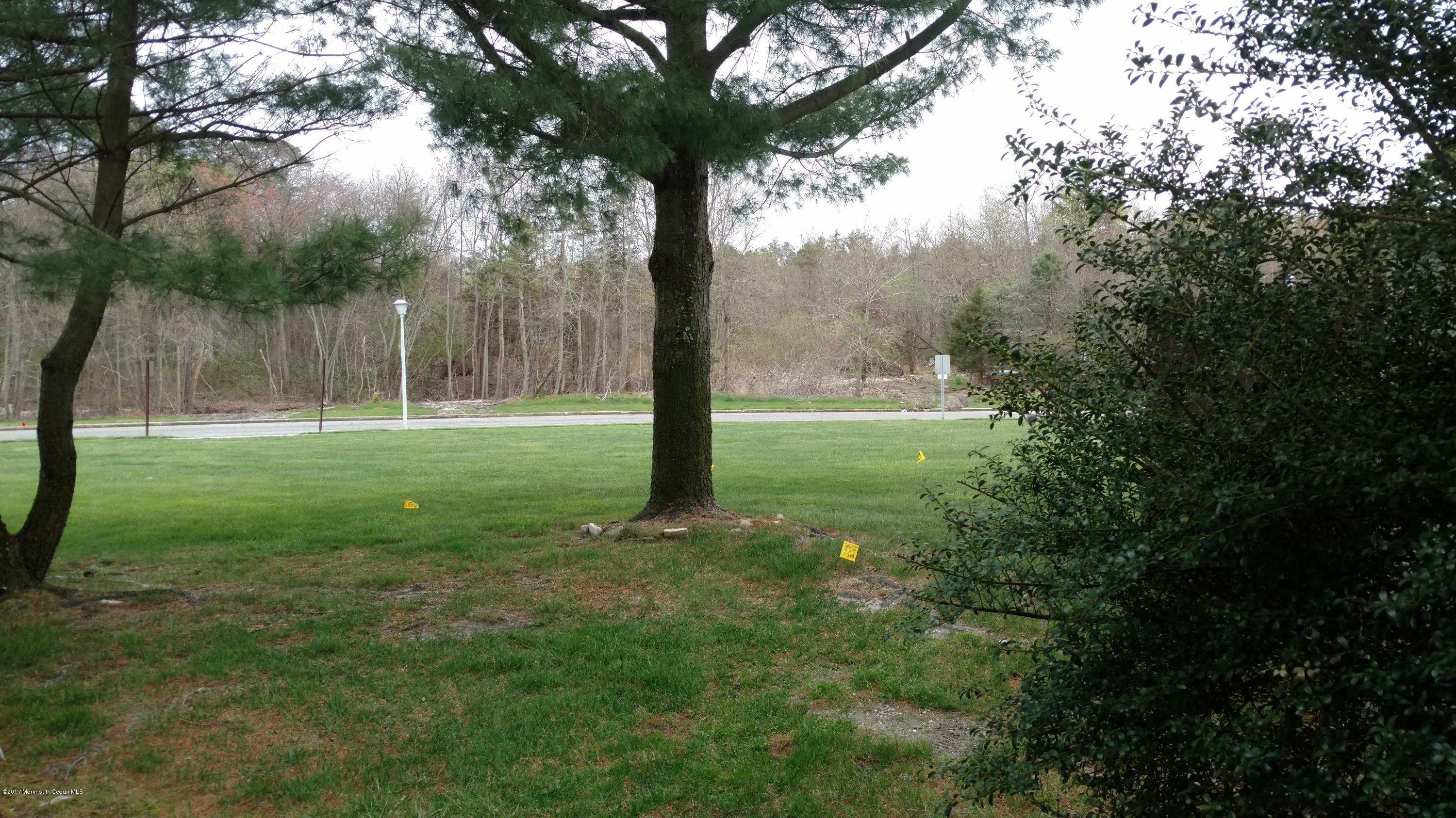 296 Greenwood Loop Road Brick, NJ 08724 - Photo 7 of 15 a view of a tree in a yard