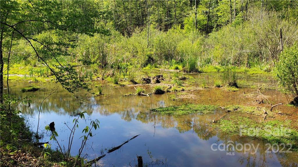 0 Sugar Hollow Road, Unit 4 Clover, SC 29710 - Photo 2 of 3