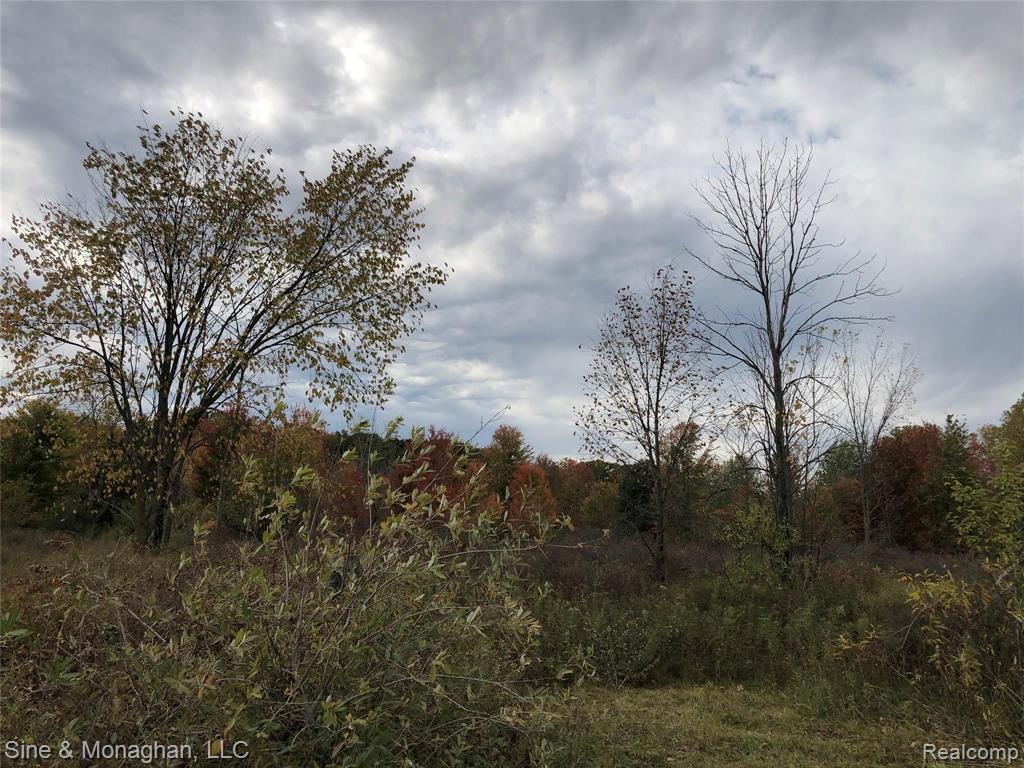 Vl Mayer Road Goodells, MI 48027 - Photo 2 of 4