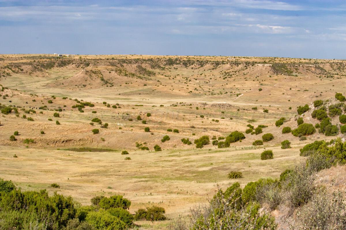 Flowers Ranch Miami, TX 79059 - Photo 264 of 285 Flowers_Ranch-121