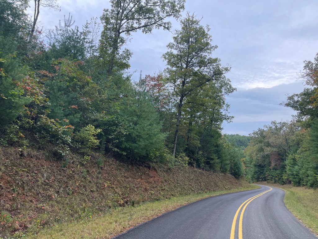0 Camp Creek Road Murphy, NC 28906 - Photo 2 of 8 Gallery Image 2