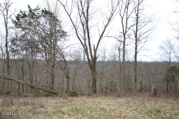 0 Timber Creek Road Lawrenceburg, KY 40342 - Photo 4 of 16 IMG_8046
