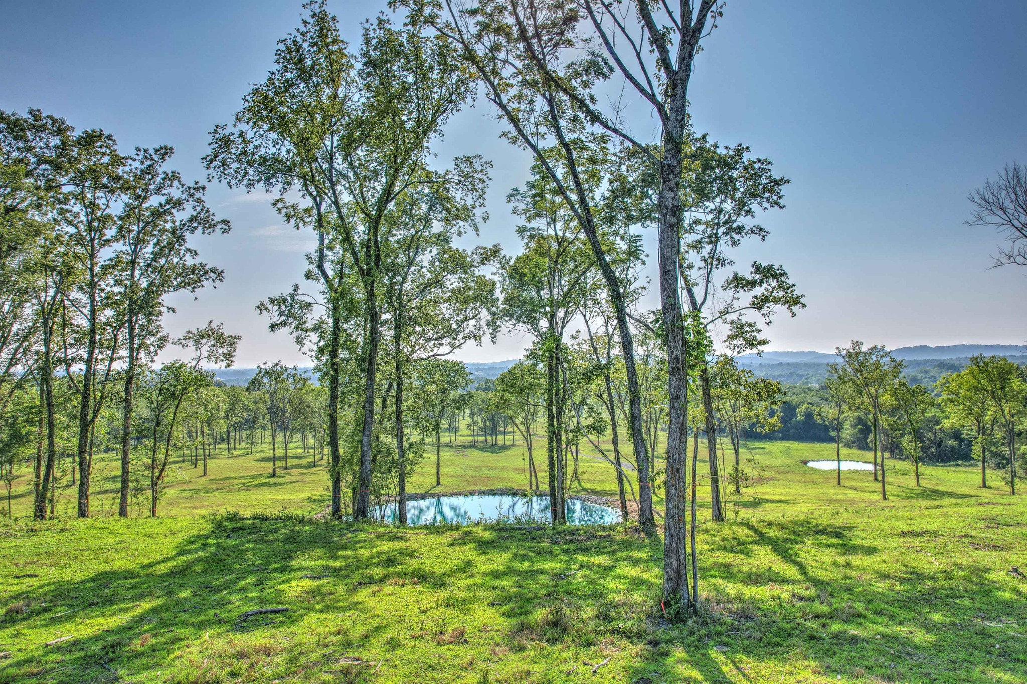 0 Chapel Hill Eagleville, TN 37060 - Photo 2 of 18 a view of an outdoor space