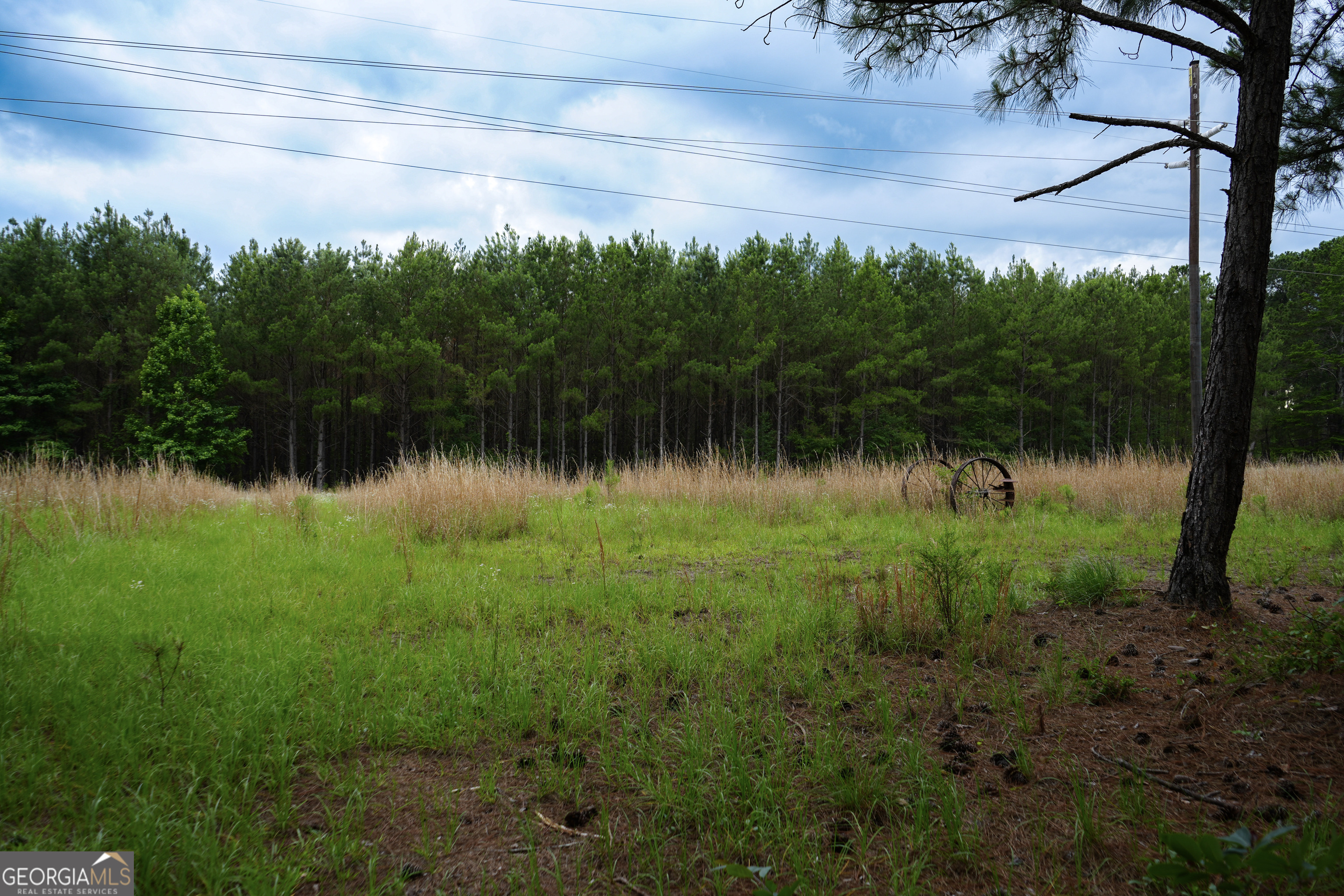 1869 Minter Blue Springs Road Rockledge, GA 30454 - Photo 39 of 45 a view of a lake from a yard