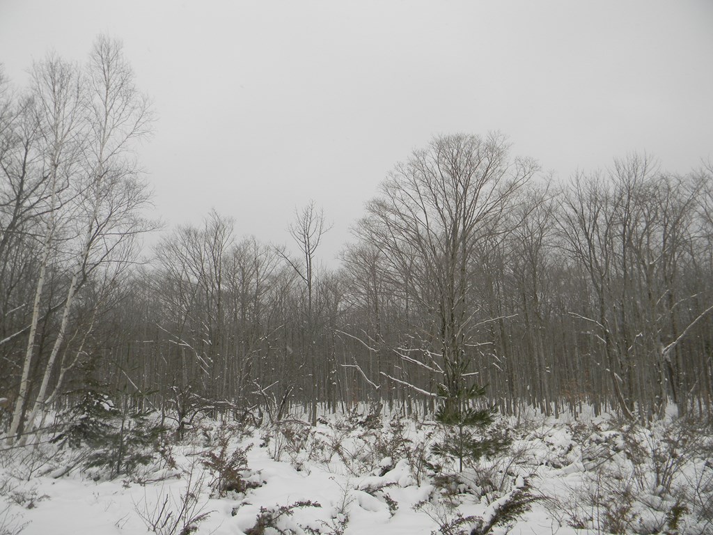 Maple Grove Road Fish Creek, WI 54212 - Photo 9 of 14