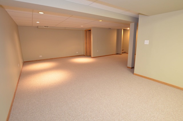 372 Inner Cir Drive, Unit 372 Bolingbrook, IL 60490 - Photo 16 of 25
