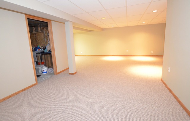 372 Inner Cir Drive, Unit 372 Bolingbrook, IL 60490 - Photo 18 of 25