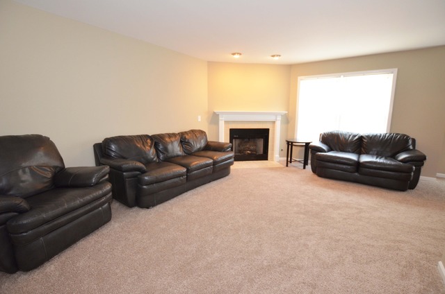 372 Inner Cir Drive, Unit 372 Bolingbrook, IL 60490 - Photo 21 of 25