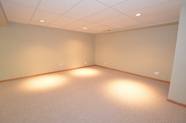 372 Inner Cir Drive, Unit 372 Bolingbrook, IL 60490 - Photo 3 of 25