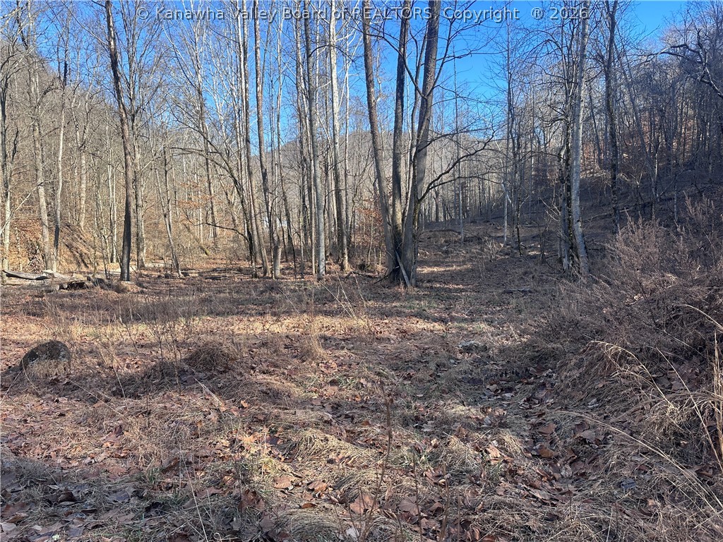 981 Powell Branch Road Danville, WV 25053 - Photo 50 of 50 Gallery Image 50