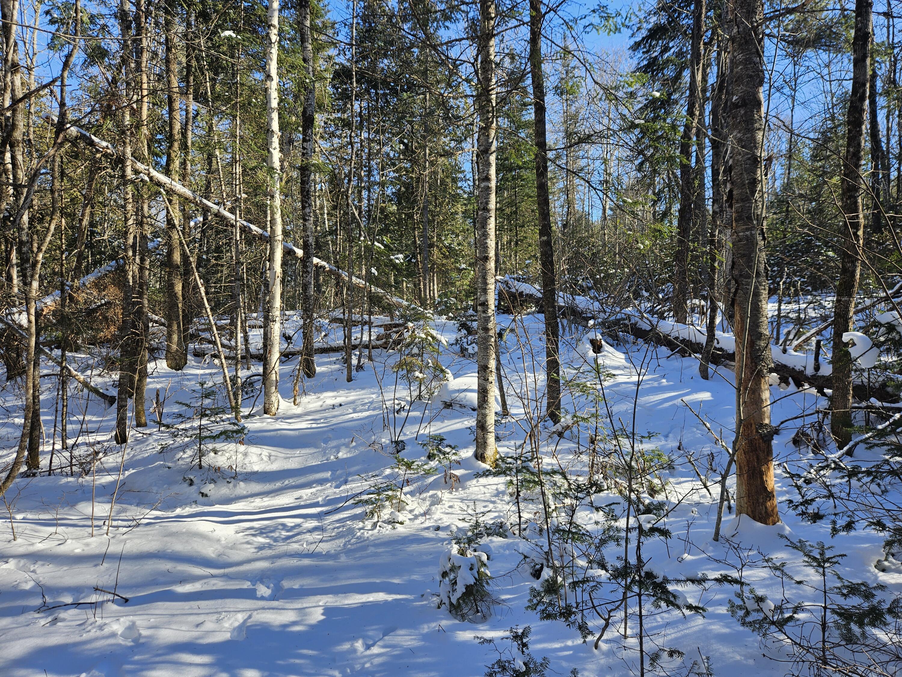 195 Rutland Road Troy, ME 04987 - Photo 79 of 80 20240121_122926