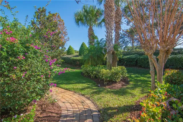 a view of a garden with plants and trees