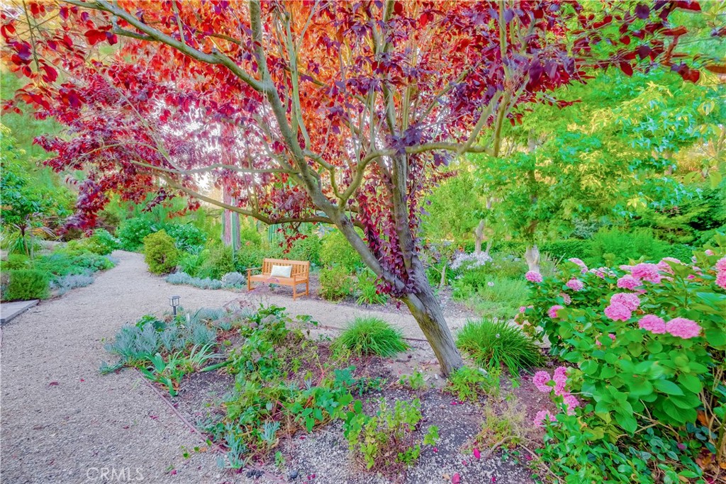 5205 Middlecrest Road Rancho Palos Verdes, CA 90275 - Photo 53 of 63 a picture of flowers