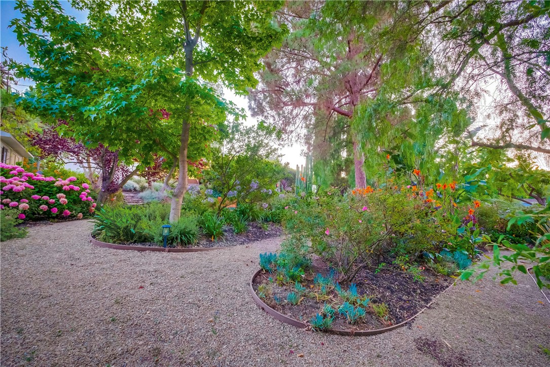 5205 Middlecrest Road Rancho Palos Verdes, CA 90275 - Photo 56 of 63 a view of a garden with plants