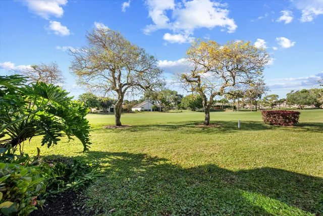 a view of a park with large trees