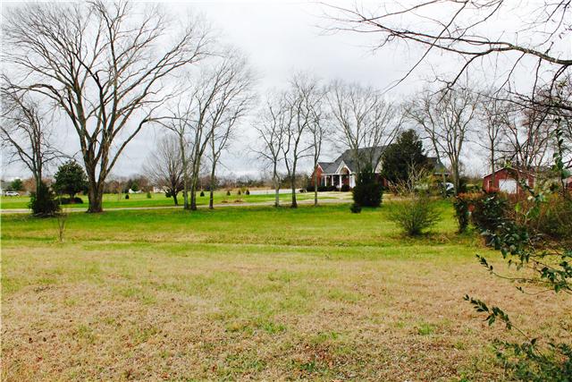 5220 Rucker Christiana Road Christiana, TN 37037 - Photo 6 of 20 Gallery Image 6