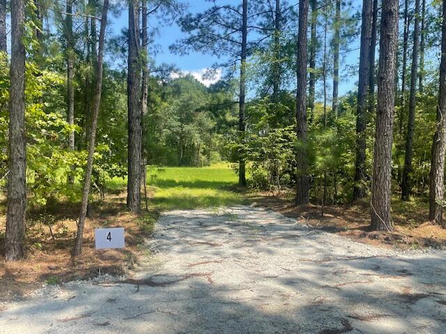 660 Bc Estates Lane Cross, SC 29436 - Photo 2 of 7 IMG_7741