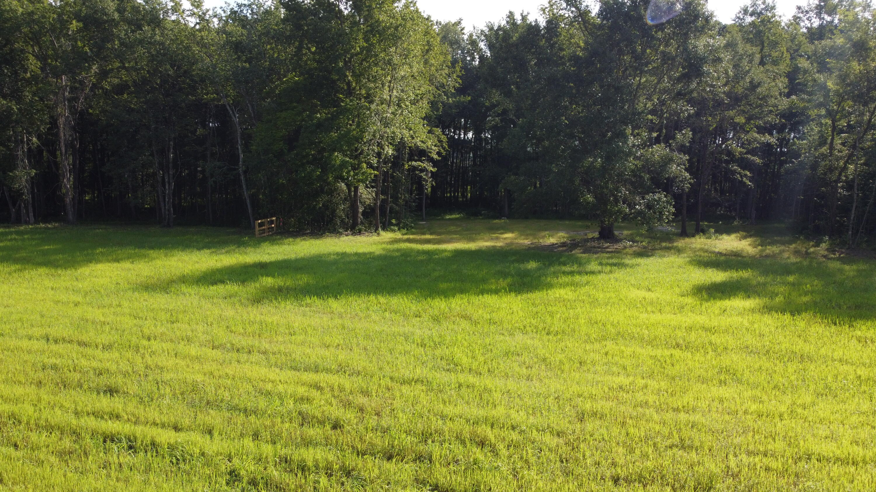 660 Bc Estates Lane Cross, SC 29436 - Photo 4 of 7 DJI_0079